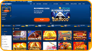 Descubra a Mostbet Brasil: O Melhor Lugar para Suas Apostas Online